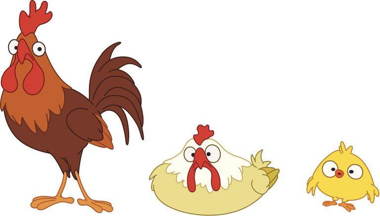 2005鸡属五行属什么(探究五行对鸡属人的影响)