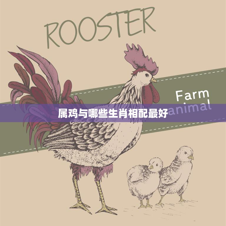 属鸡与哪些生肖相配最好(完美配对爱情长存)