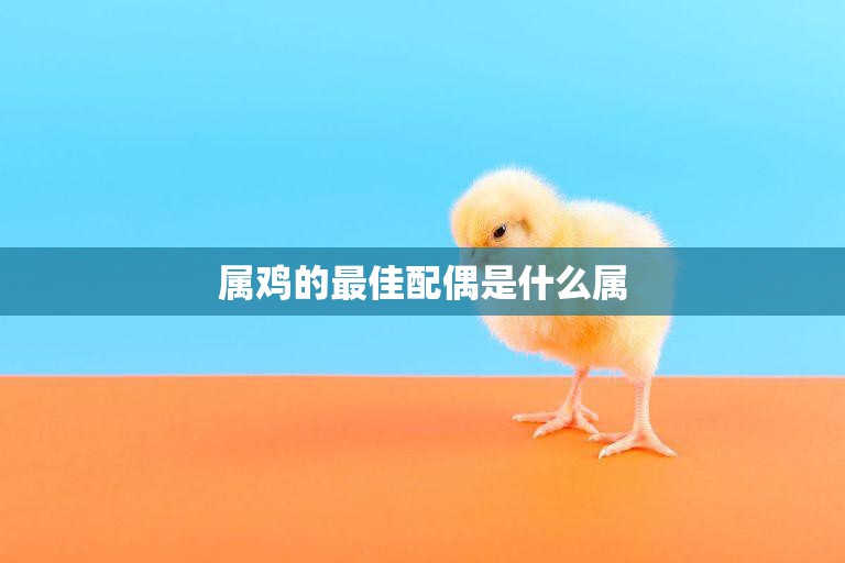 属鸡的最佳配偶是什么属(揭秘星座配对中的黄金搭档)