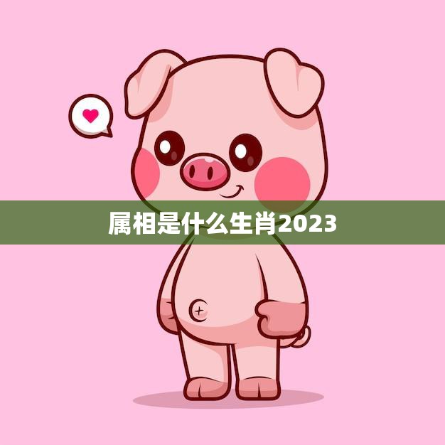 属相是什么生肖2023(猪年已过2023年你将迎来哪个生肖)