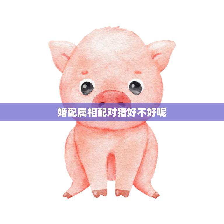 婚配属相配对猪好不好呢(如何选择最佳属相配对)