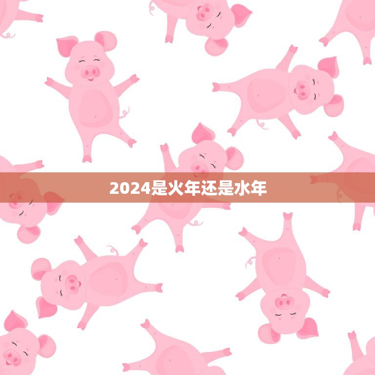 2024是火年还是水年(解密2024年属猪是水猪年还是火猪年)
