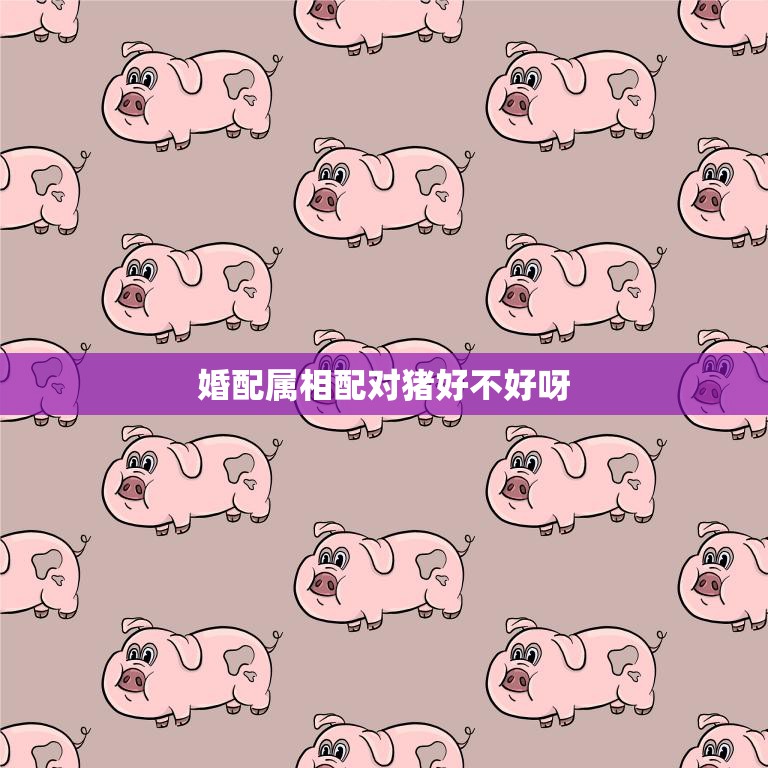 婚配属相配对猪好不好呀(如何选择最佳婚配属相)