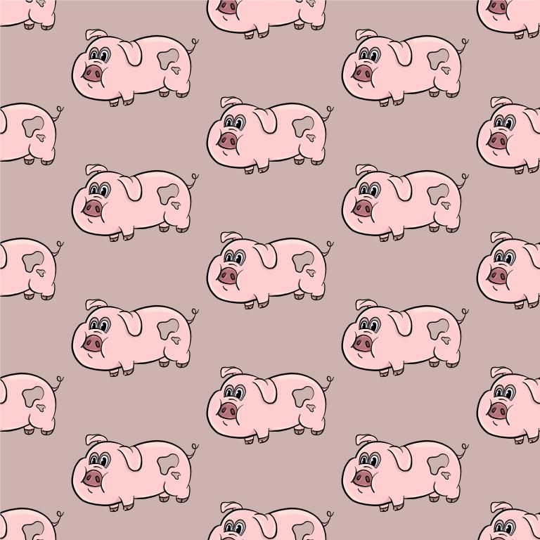 2023立春前还是属猪(猪年生肖转换时间解析)