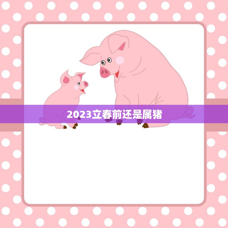 2023立春前还是属猪(猪年生肖转换时间解析)