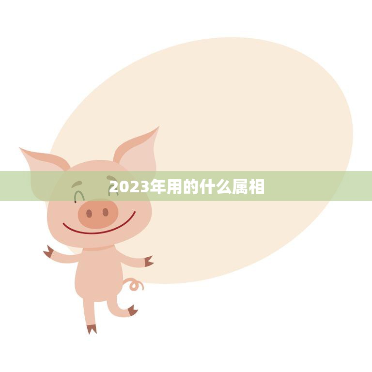 2023年用的什么属相(猪年过后哪个属相将迎来新的一年)