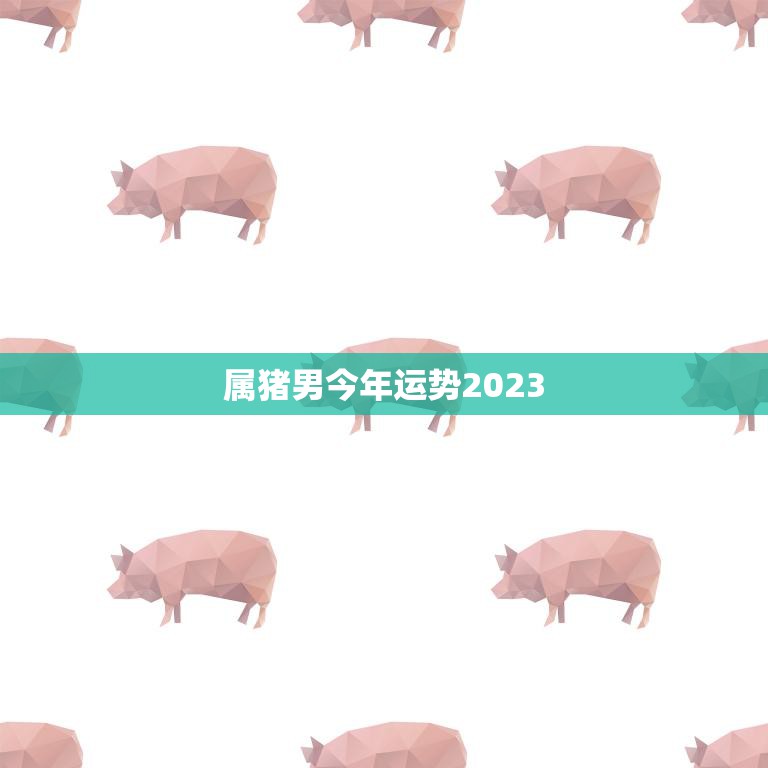 属猪男今年运势2023(顺风顺水财运亨通)
