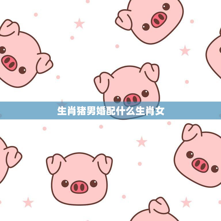 生肖猪男婚配什么生肖女(完美姻缘的星座配对)