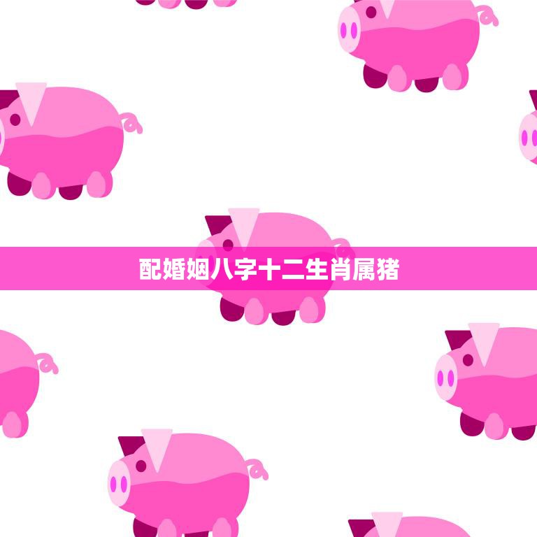 配婚姻八字十二生肖属猪(如何选择最佳配偶)