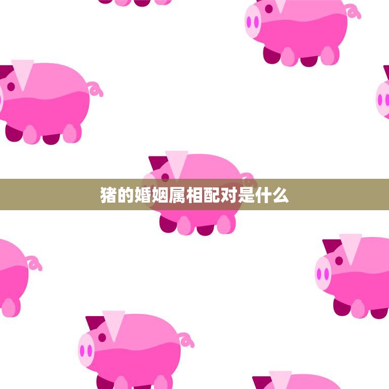 猪的婚姻属相配对是什么(完美的星座组合)