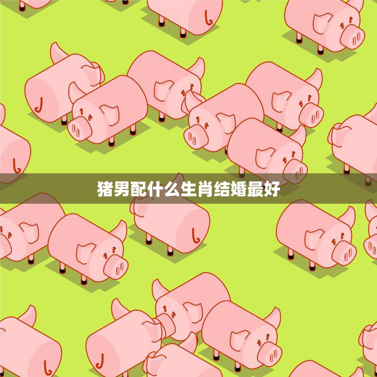 猪男配什么生肖结婚最好(如何选择最佳配偶)