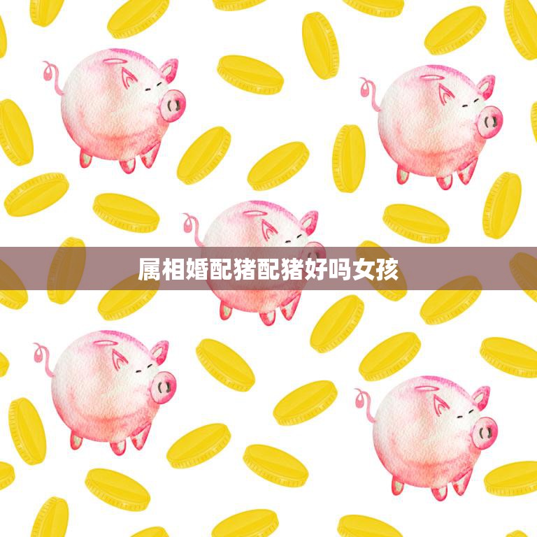 属相婚配猪配猪好吗女孩(猪猪配对幸福长久)