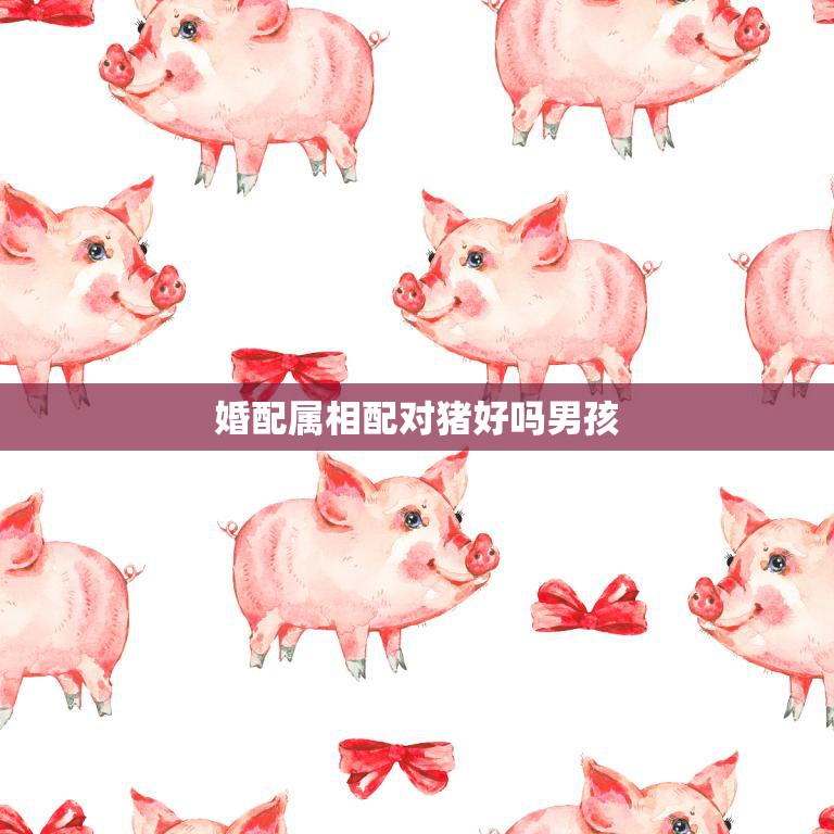 婚配属相配对猪好吗男孩(如何选择最佳婚姻对象)