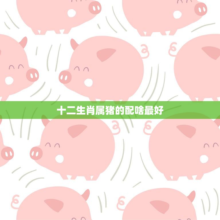 十二生肖属猪的配啥最好(如何选择最佳配对)