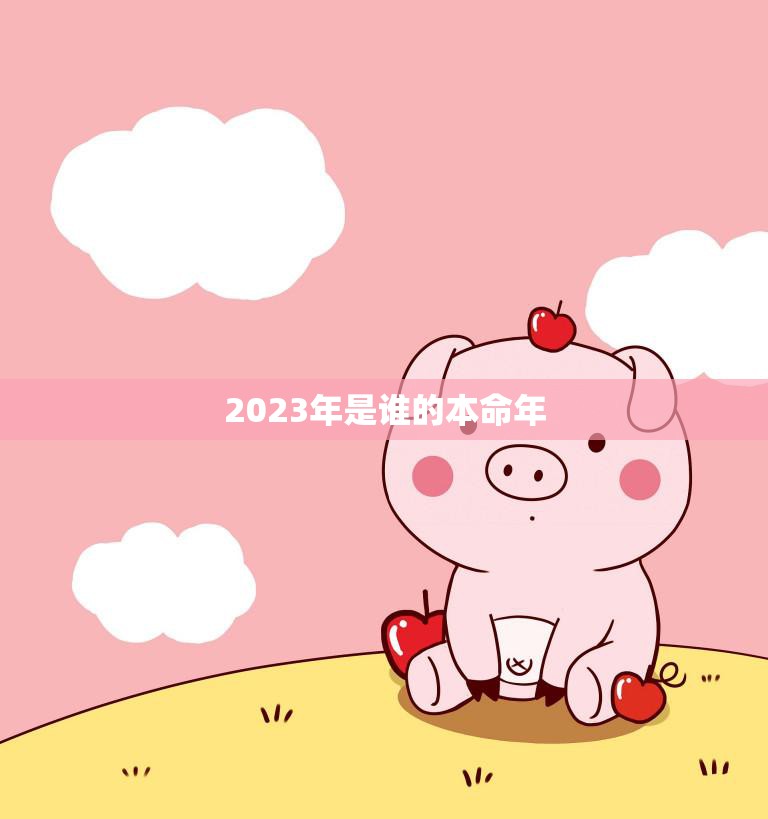 2023年是谁的本命年(猪年迎来属猪人的本命年)