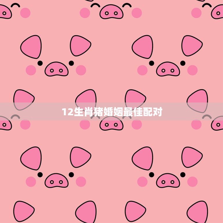 12生肖猪婚姻最佳配对(完美组合幸福长久)