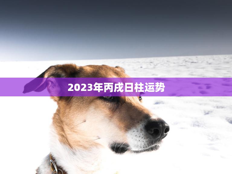 2023年丙戌日柱运势(狗年大吉财运亨通)