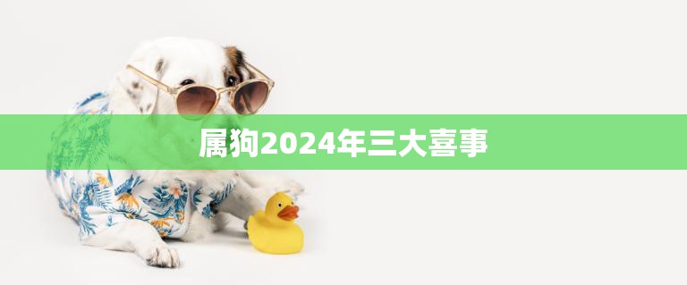 属狗2024年三大喜事(狗年迎来三重福音)