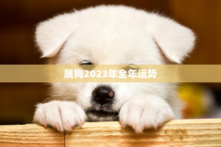 属狗2023年全年运势(狗年大展宏图财运亨通事业顺利)