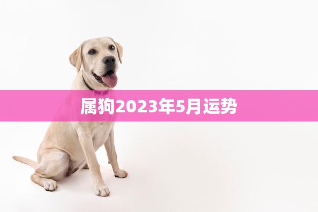 属狗2023年5月运势(财运亨通事业顺利)