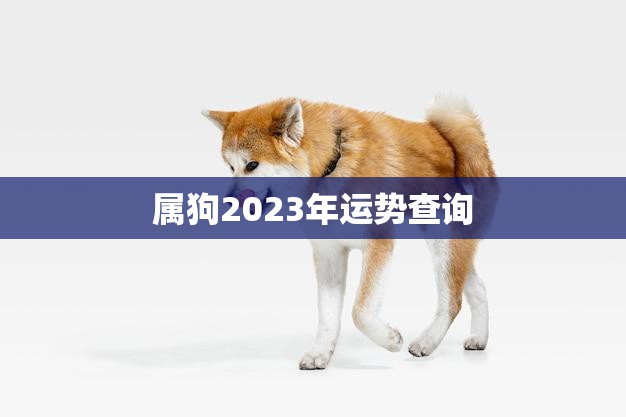 属狗2023年运势查询(狗年大展宏图财运亨通)