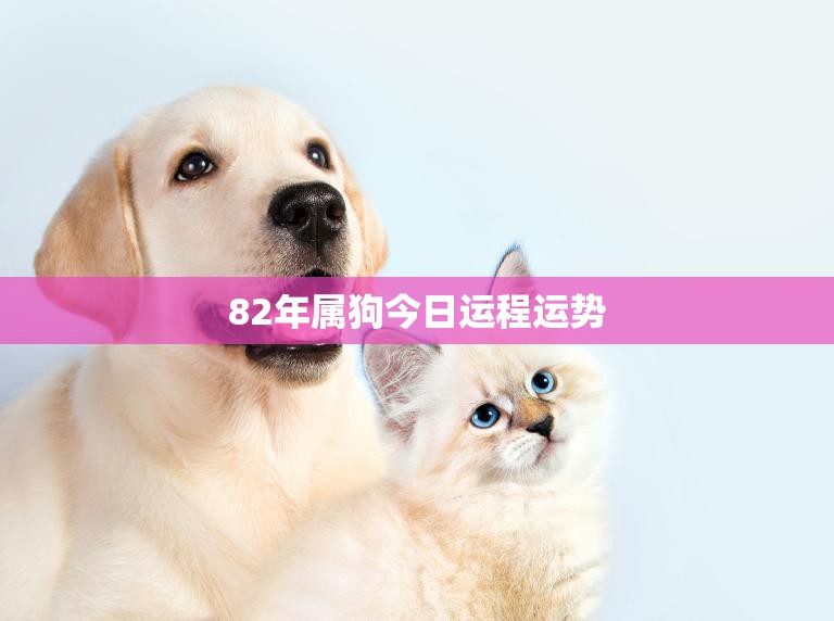 82年属狗今日运程运势(好运连连财运亨通)