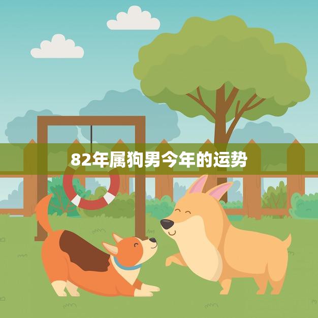 82年属狗男今年的运势(事业稳步上升财运亦佳)