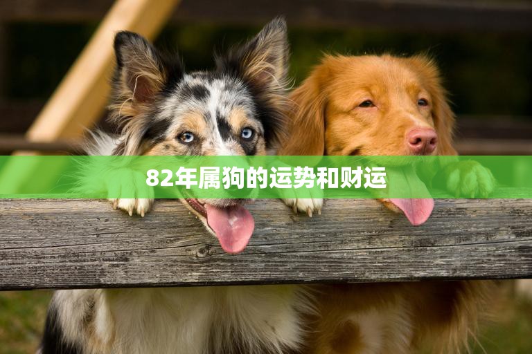82年属狗的运势和财运(2023年展望)