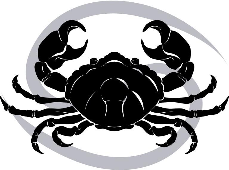 巨蟹座1月运势2023(事业财运双丰收)