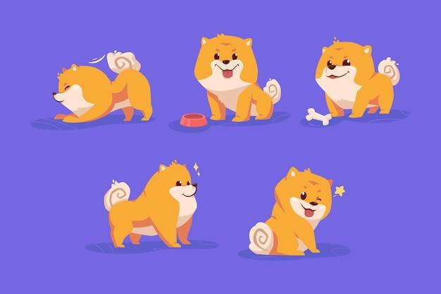 82年狗今年财运怎么样(解析2023年狗年运势大揭秘)