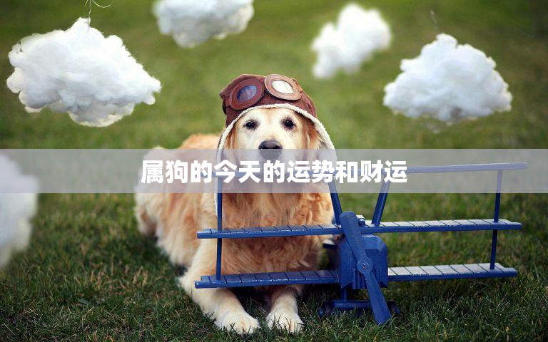 属狗的今天的运势和财运(幸运之星高照财运亨通)