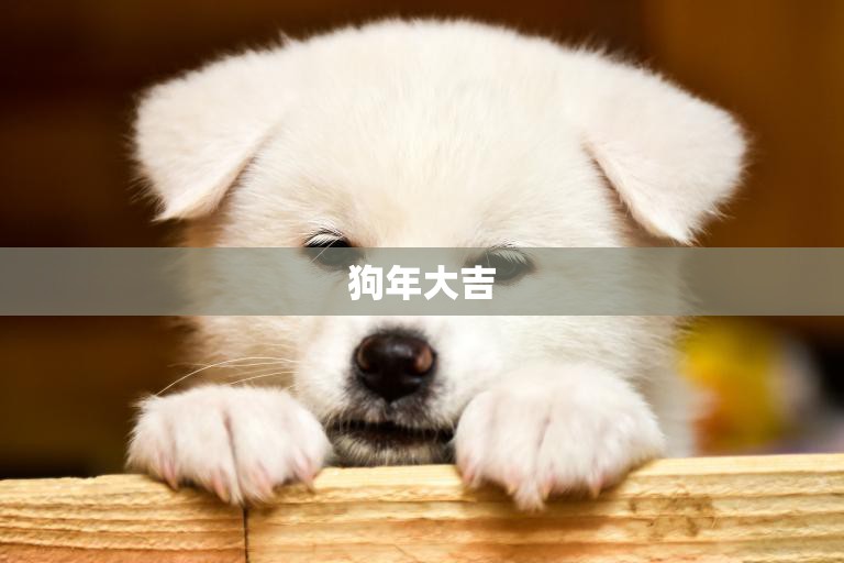 狗年大吉(今年属狗人的运势和财运)