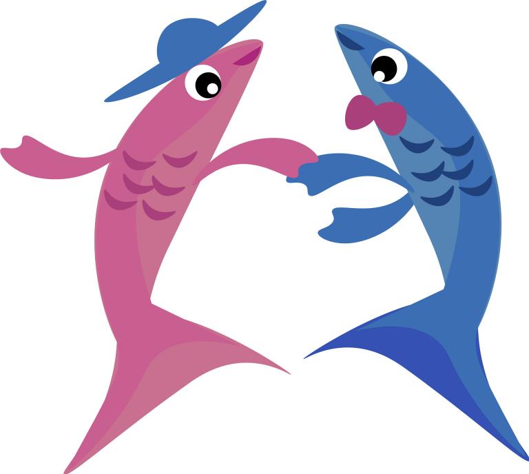 双鱼座男和什么座的女最配(星座配对大揭秘)