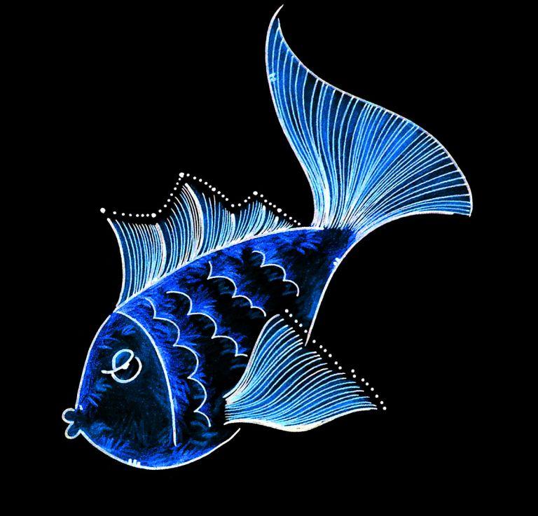 双鱼座最合不来的星座朋友(揭秘谁与双鱼座不来电)