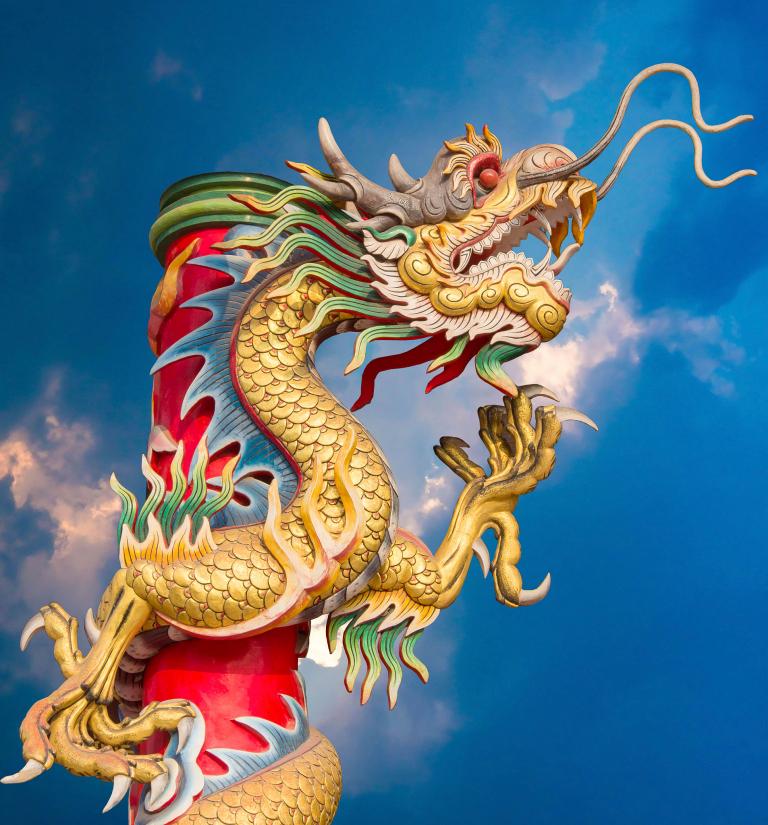 男猪和女龙属婚姻怎么样(幸福的秘诀)