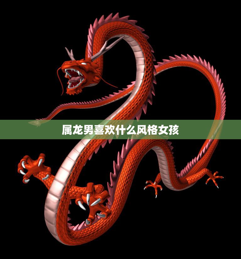 属龙男喜欢什么风格女孩(探秘他们钟情的穿搭风格)