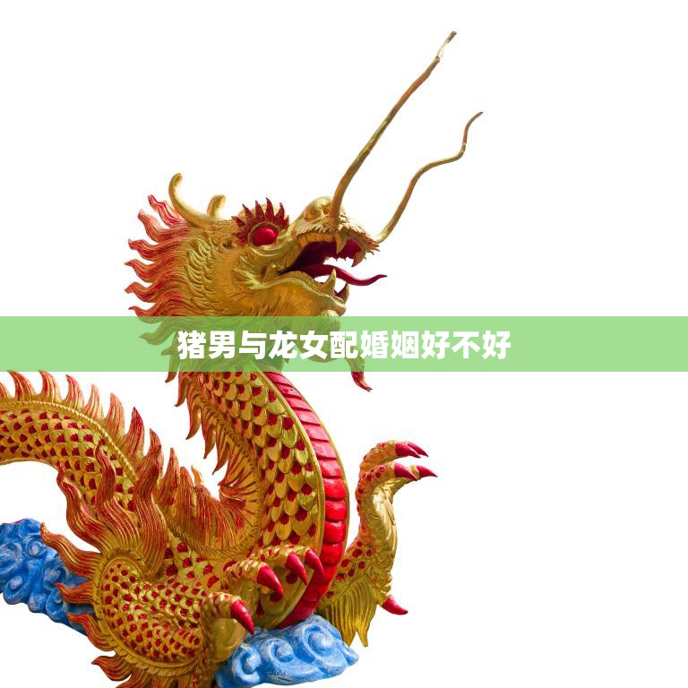 猪男与龙女配婚姻好不好(探讨星座配对是否决定命运)
