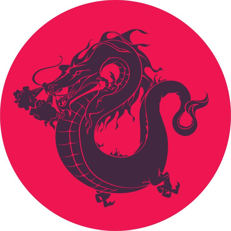 属龙的年份是哪些年份的(解析属龙的人性格特点及运势)