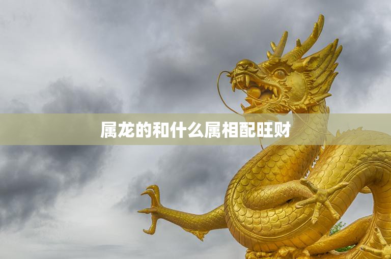 属龙的和什么属相配旺财(如何提升财运)
