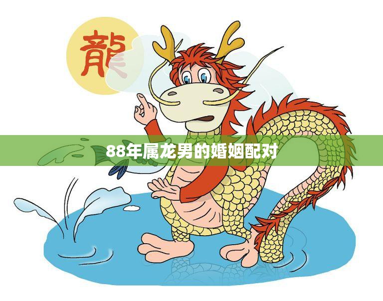 88年属龙男的婚姻配对(如何选择最佳伴侣)