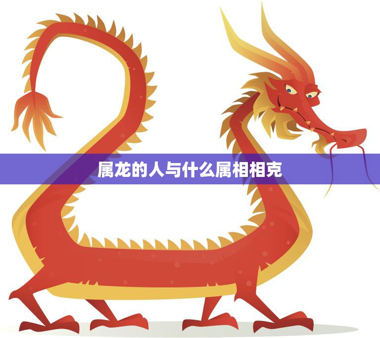 属龙的人与什么属相相克(探究哪些属相与龙不合)