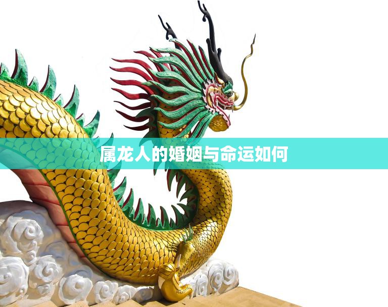 属龙人的婚姻与命运如何(探究婚姻幸福指数与命运走向)