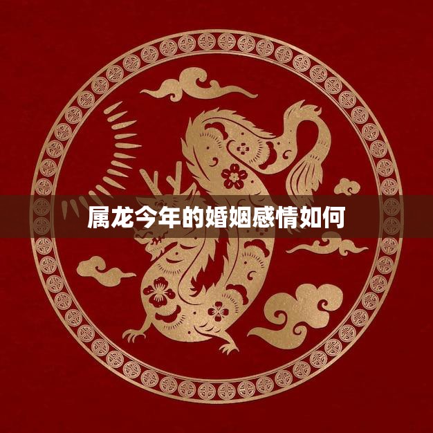 属龙今年的婚姻感情如何(2023年属龙人的婚姻运势大揭秘)