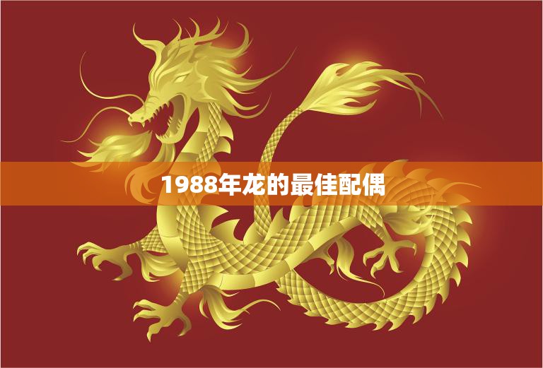 1988年龙的最佳配偶(如何选择)