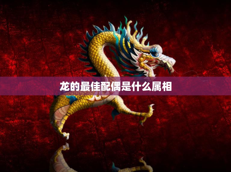 龙的最佳配偶是什么属相(揭秘龙与哪些属相最般配)