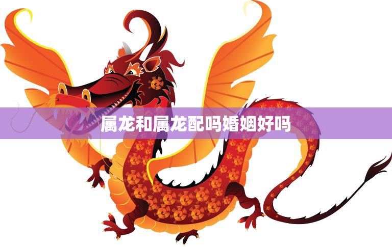 属龙和属龙配吗婚姻好吗(探讨同属龙的恋人幸福还是灾难)