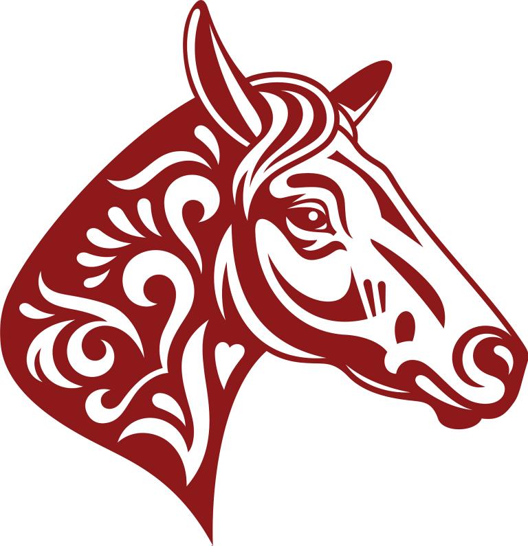 2023年属马人的年龄(届满24岁迎来人生新阶段)