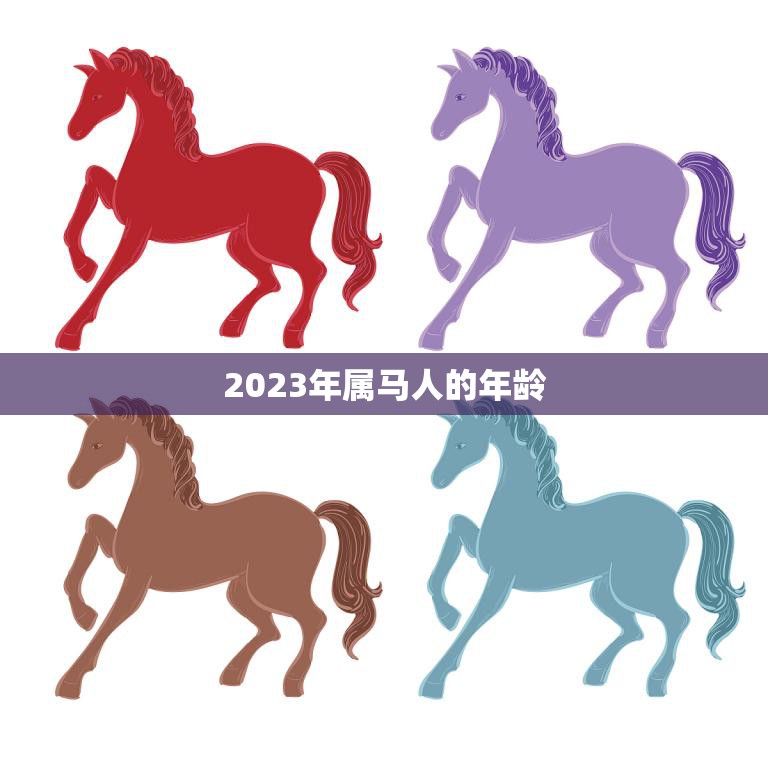 2023年属马人的年龄(届满24岁迎来人生新阶段)