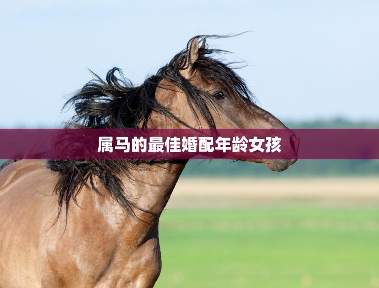 属马的最佳婚配年龄女孩(如何选择最合适的结婚时机)