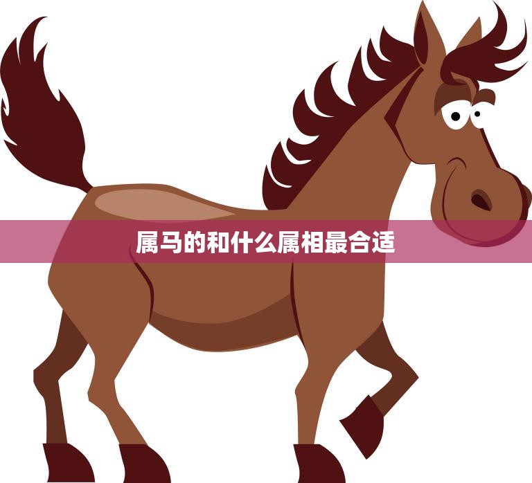 属马的和什么属相最合适(寻找最佳配对)